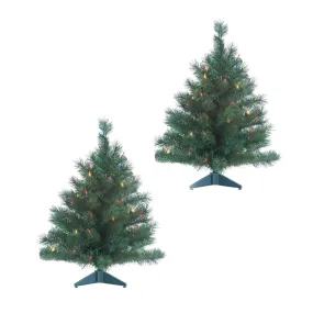 2 ft. Pre Lit Multi Colored LED Colorado Spruce Tree Set of 2