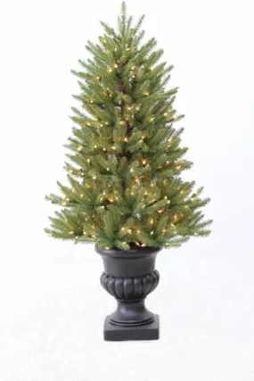 4' Ultra-Lit LED Ozark Fir Clear