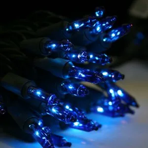 50-bulb Blue Mini Lights, 4" Spacing, Black Wire