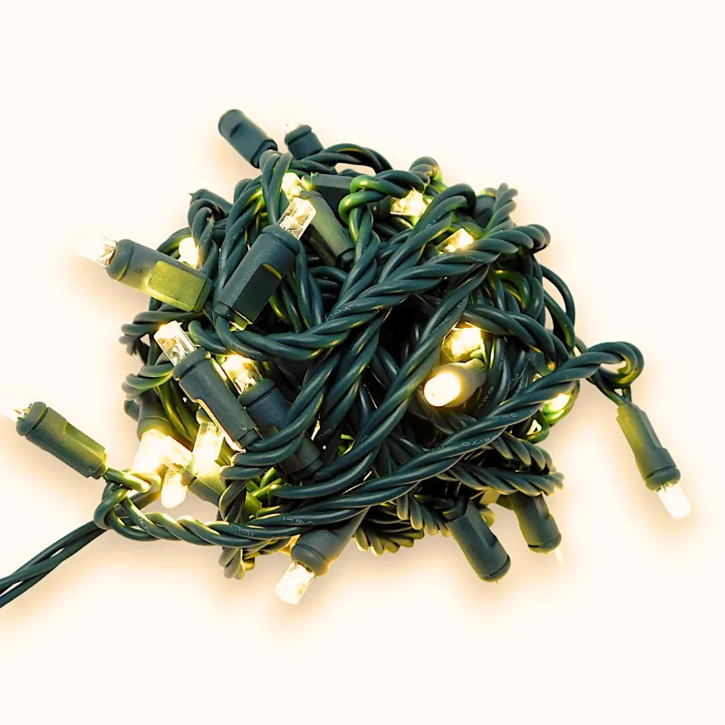 50L Coaxial Concave LED Mini Christmas Lights