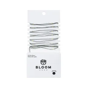 Bloom Room 25ct LED Mini Green Wire with Warm White String Lights