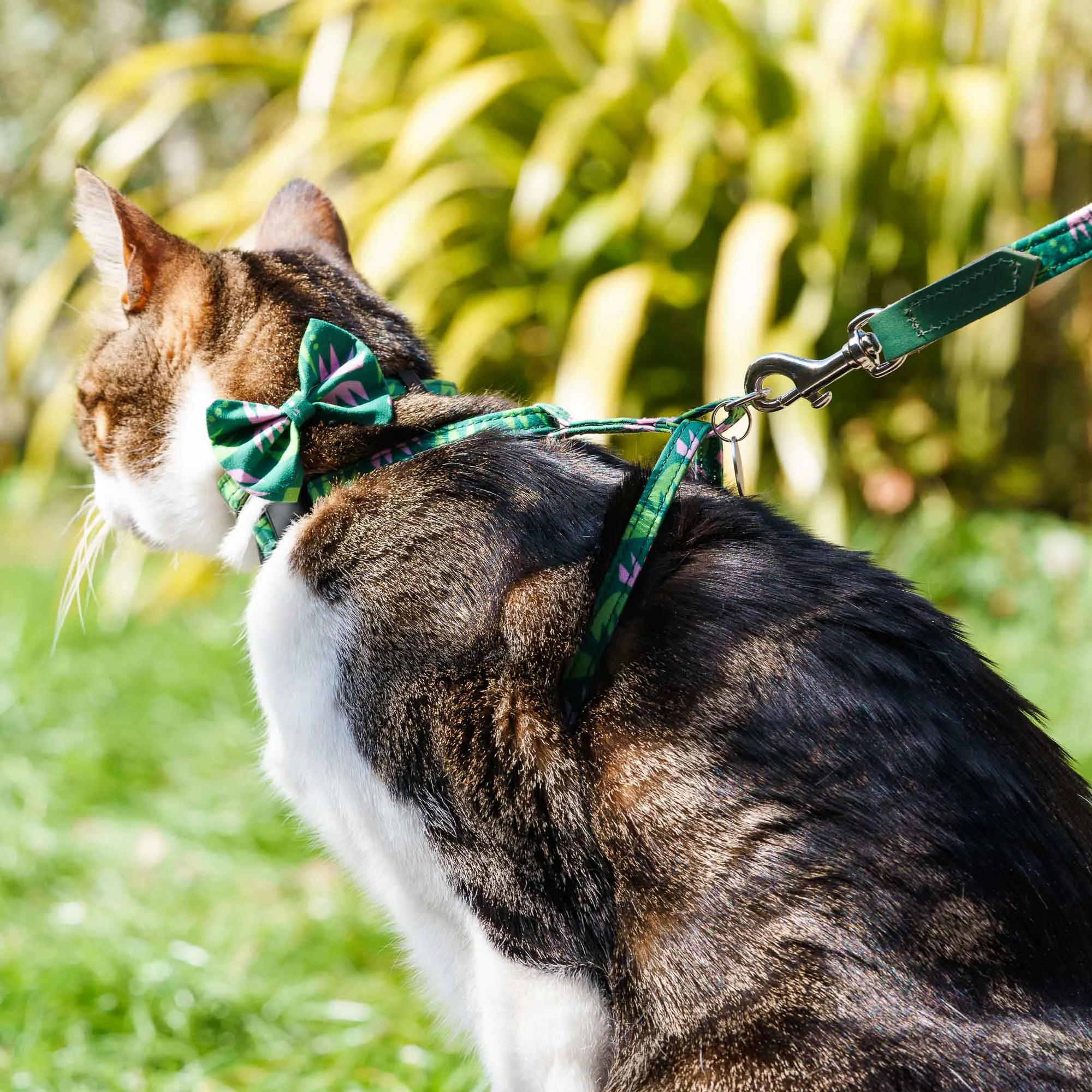 Combs Cat Harness