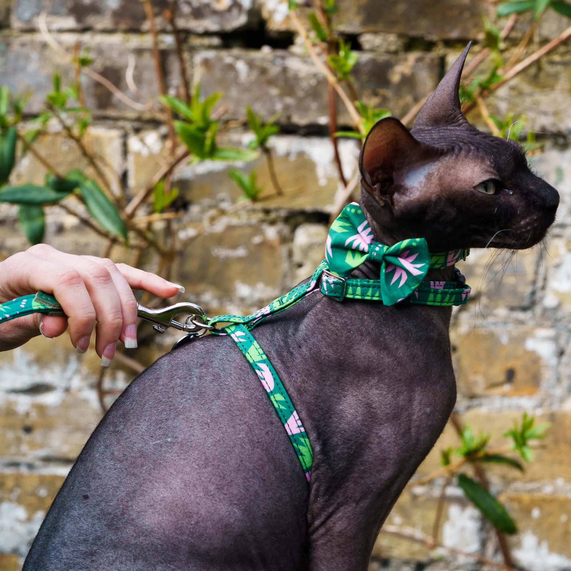 Combs Cat Harness