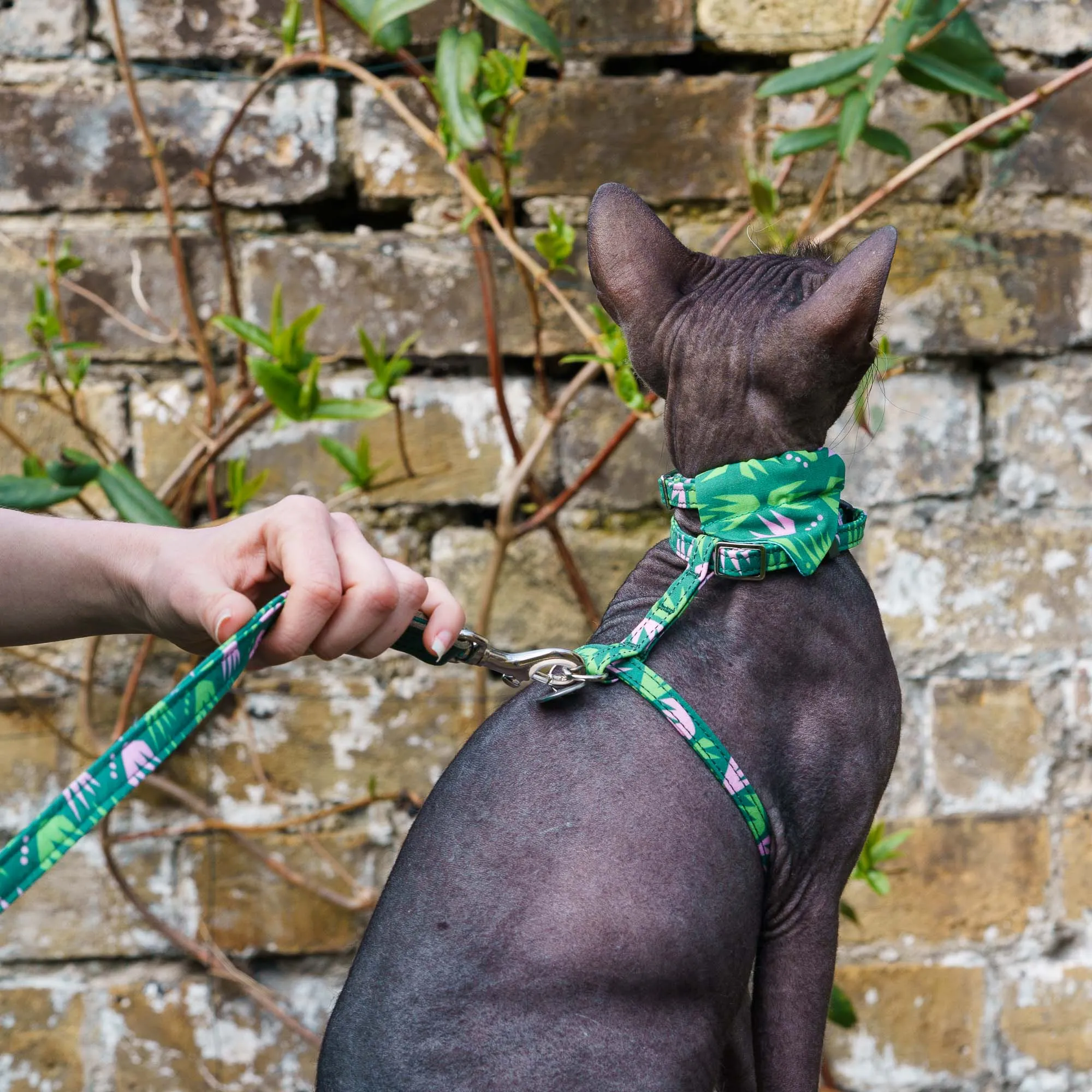 Combs Cat Harness