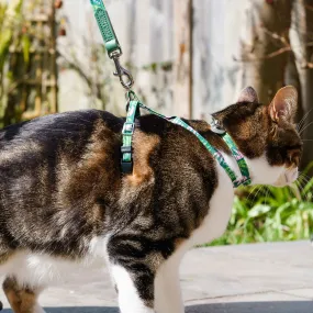 Combs Cat Harness