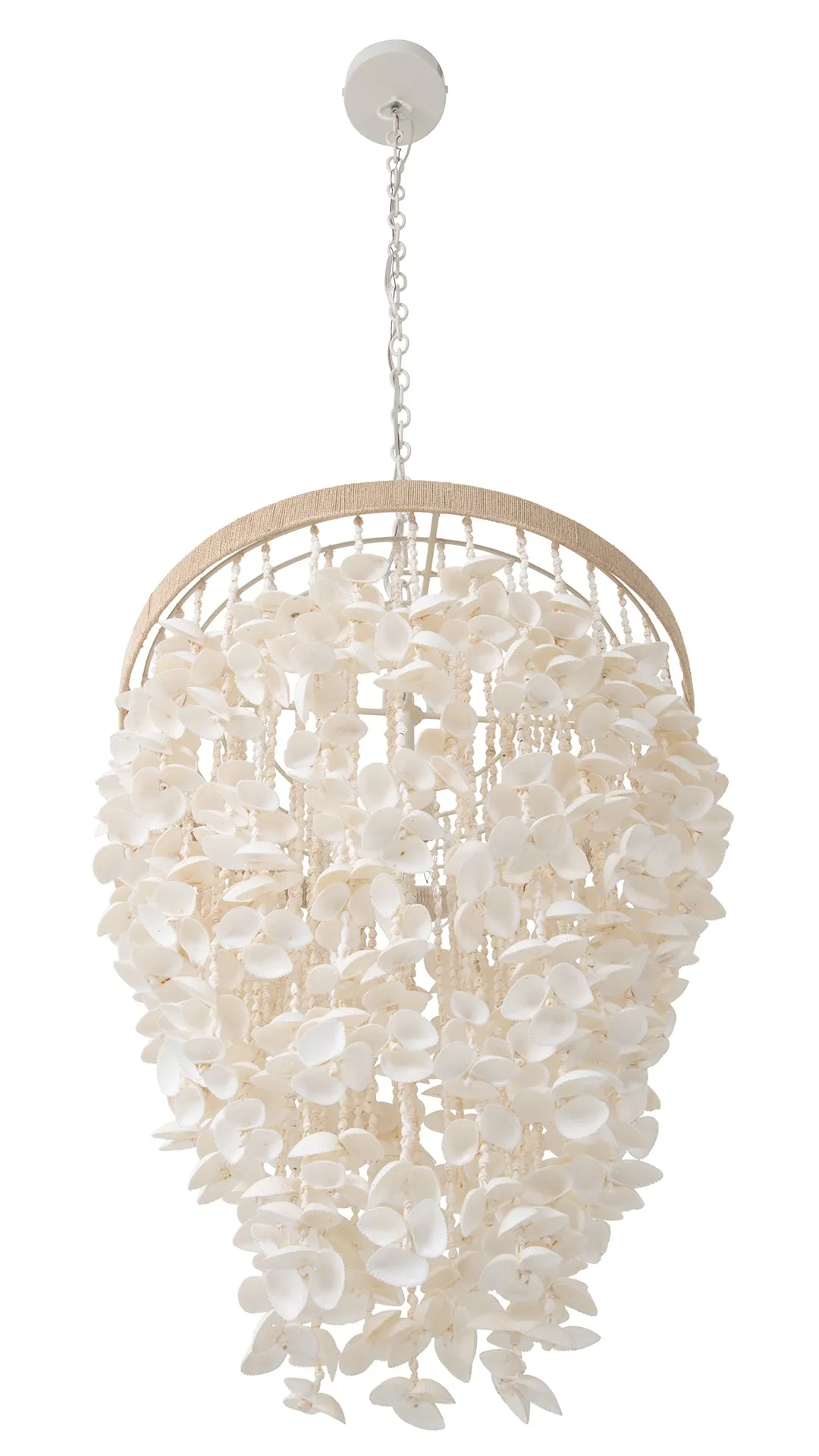 Cone Clamrose Seashell Chandelier, White