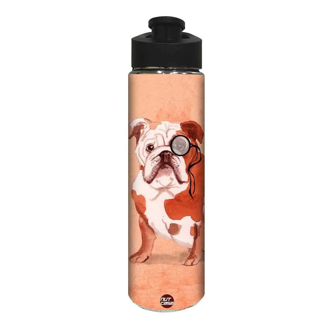 Designer Stainless Steel Sipper Bottle -  Bulldog