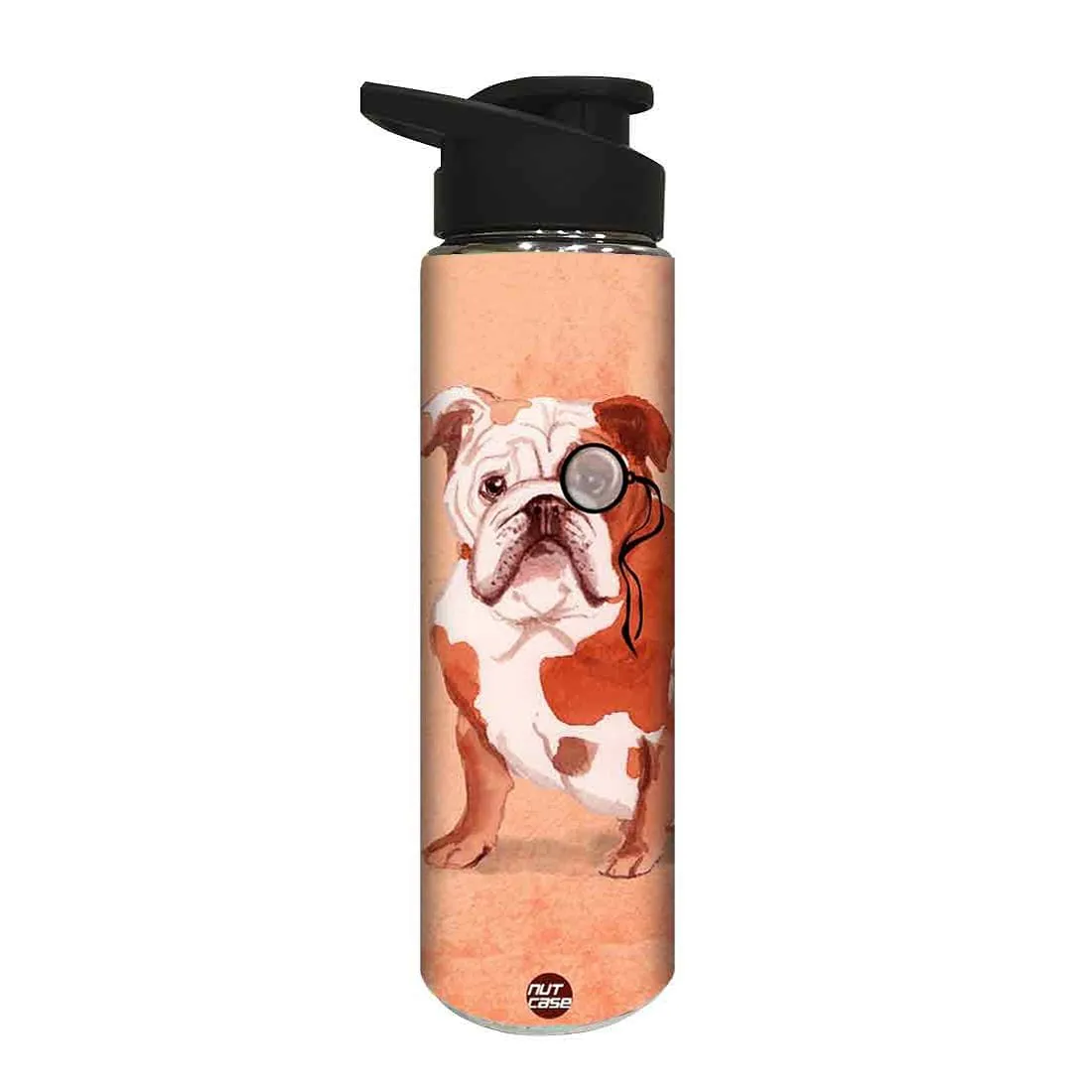 Designer Stainless Steel Sipper Bottle -  Bulldog