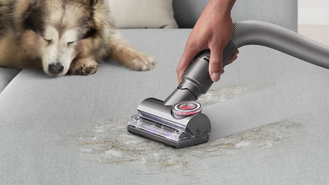 Dyson Ball Animal 3 Total Clean™ Upright Vacuum