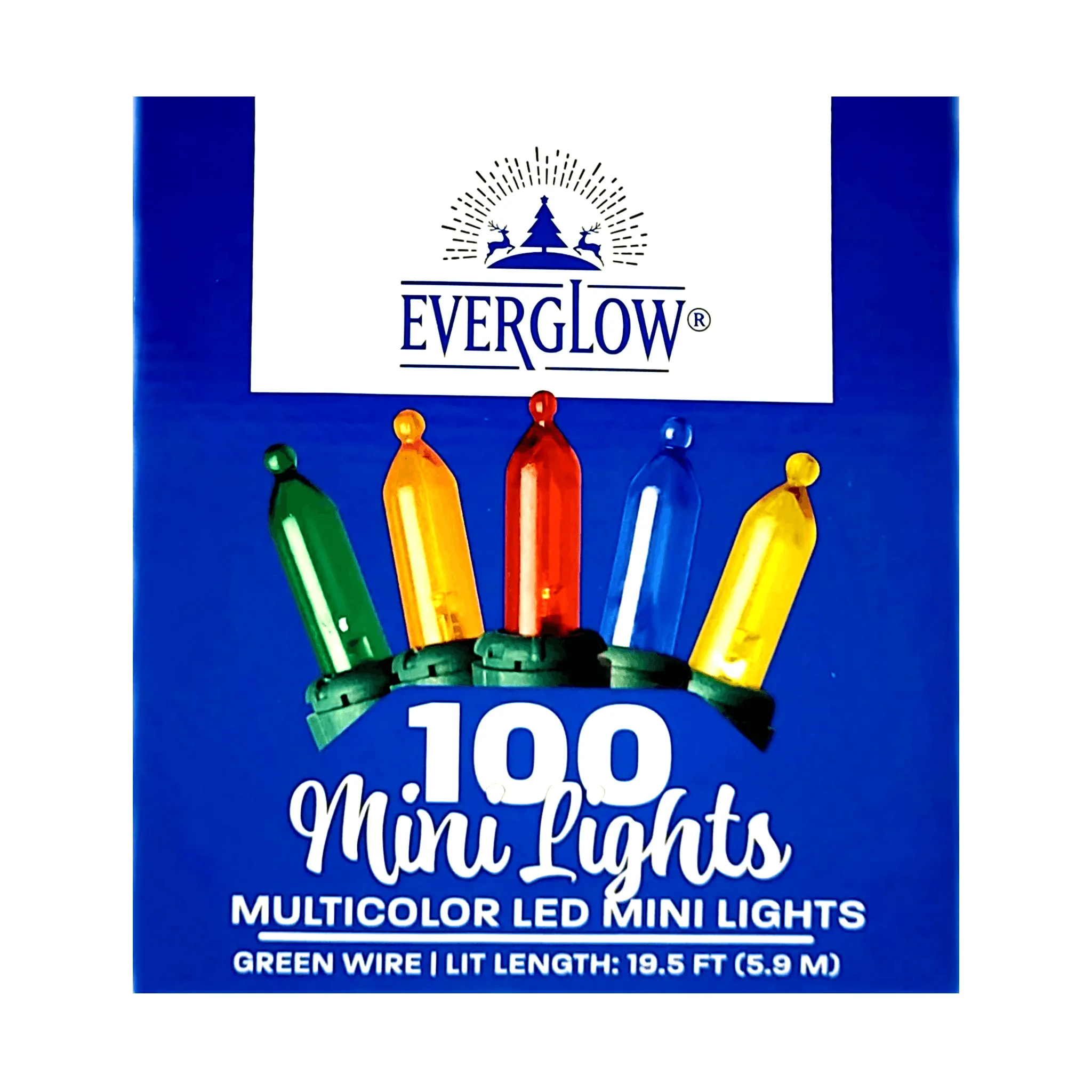 Everglow 100 Mini LED Lights