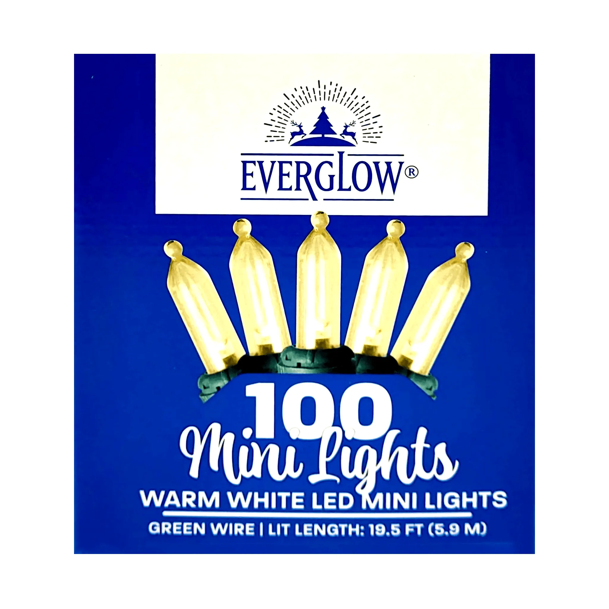 Everglow 100 Mini LED Lights