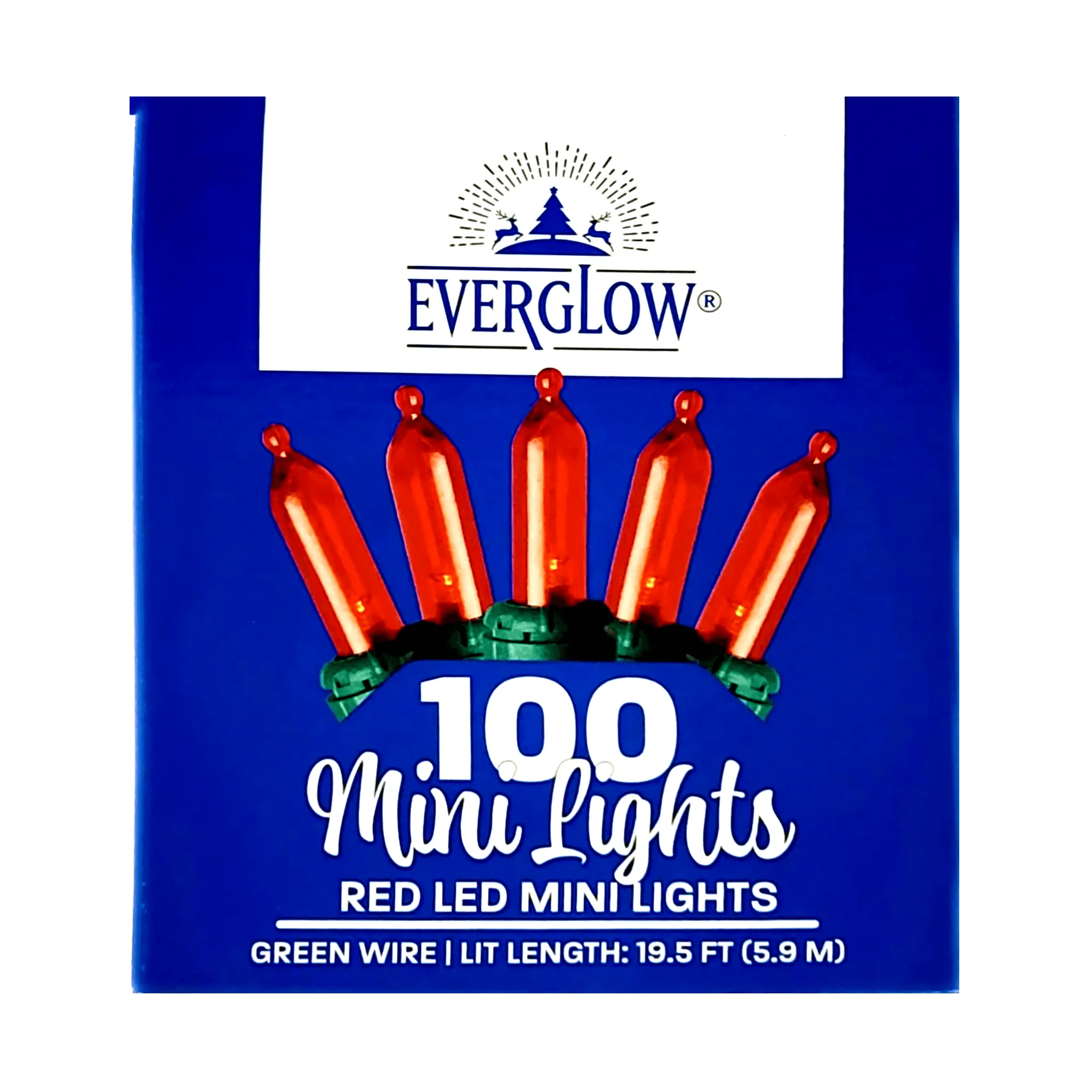 Everglow 100 Mini LED Lights