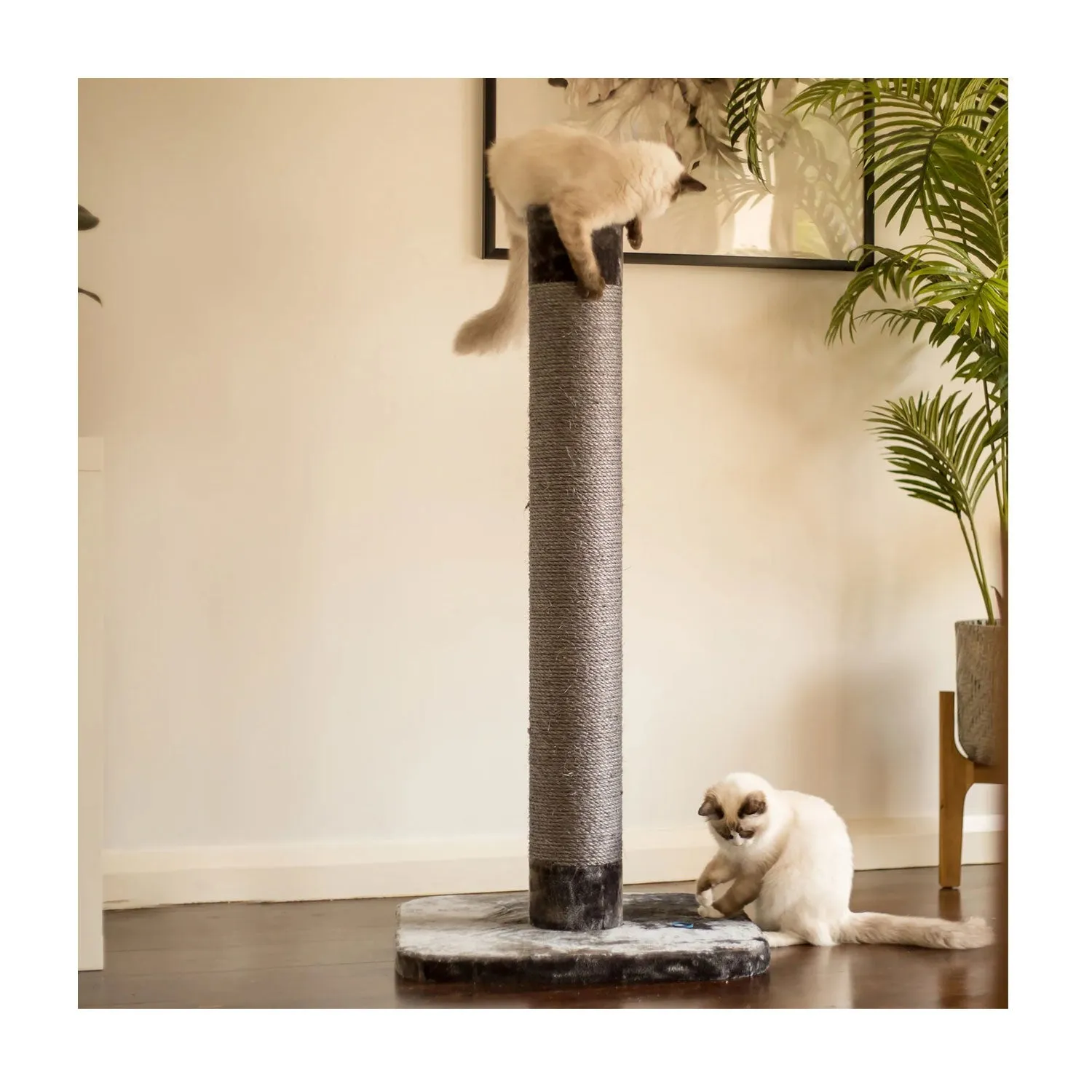 Kazoo Cat Scratch Post Large 112cm