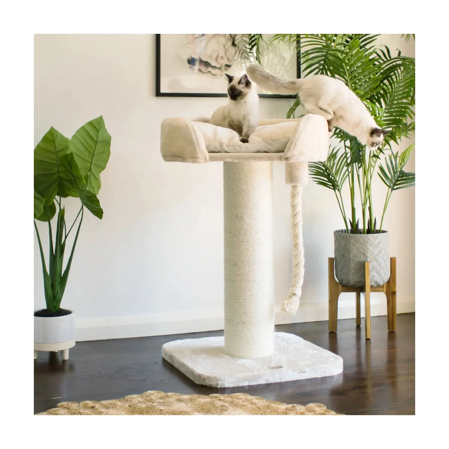 Kazoo High Bed Scratch Post with Rope