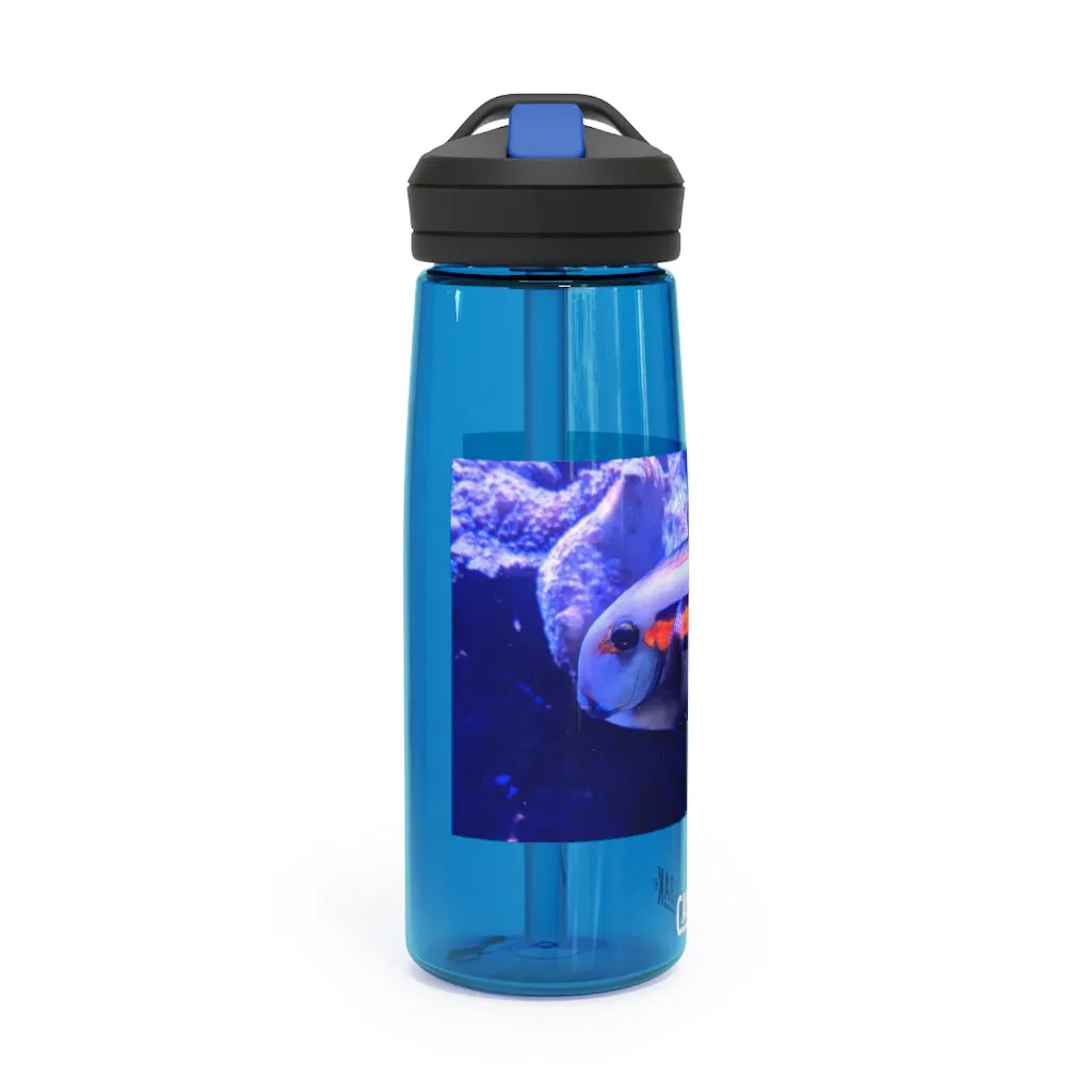 Light White Fish CamelBak Eddy®  Water Bottle, 20oz / 25oz