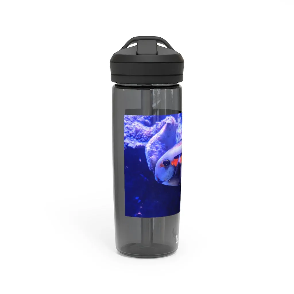 Light White Fish CamelBak Eddy®  Water Bottle, 20oz / 25oz