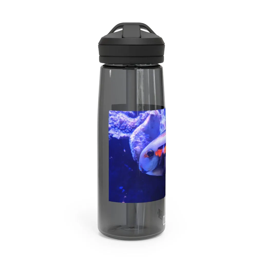 Light White Fish CamelBak Eddy®  Water Bottle, 20oz / 25oz