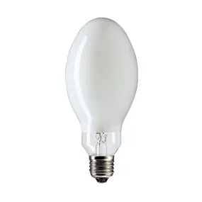 Mercury E27 Bulb 125 Watts