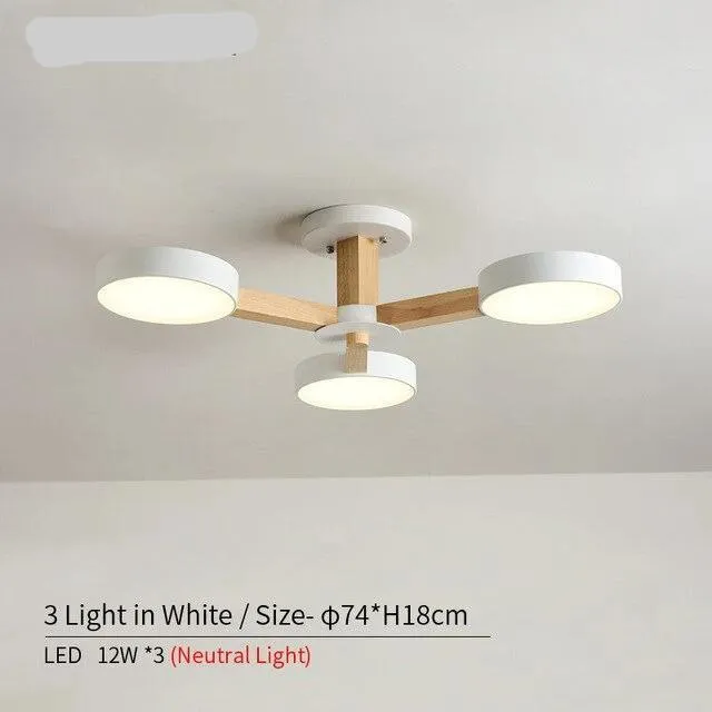 Modern Circular Discs Decor Ceiling Lights