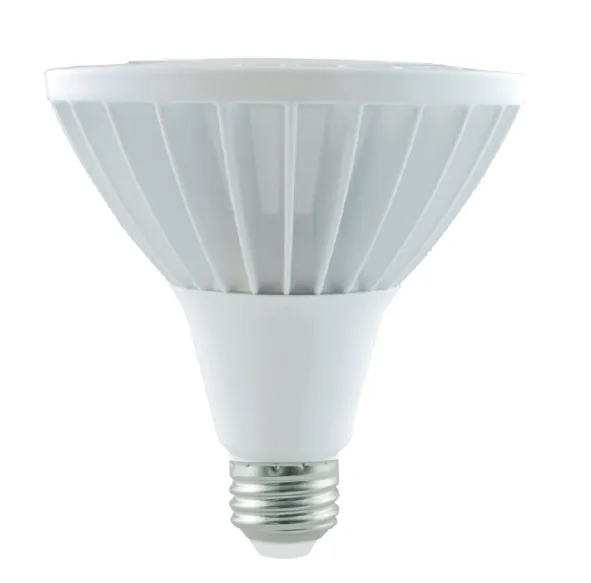 PAR38 LED Bulb, 32 Watt, 120-277V, 12000K